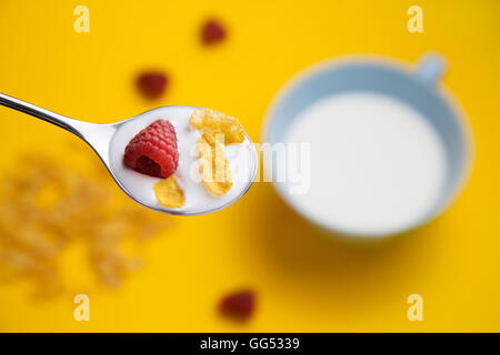 Overhead del cucchiaio con latte, lampone e fiocchi di mais Foto Stock