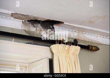 I danni causati dall'acqua al soffitto e cornicione di un edificio in stile georgiano REGNO UNITO Foto Stock