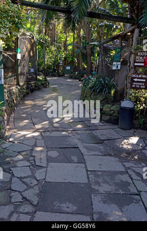 Percorso nel mondo degli uccelli African bird park in Hout Bay, Provincia del Capo Occidentale, Sud Africa. Foto Stock