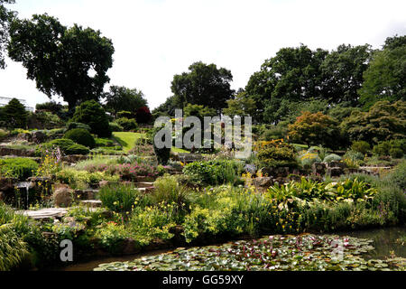 La roccia terrazzata giardino alla RHS Wisley Foto Stock