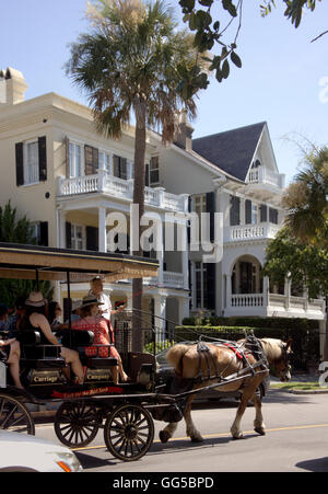 Horse & buggy ambling nel quartiere della batteria di Charleston, South Carolina, Stati Uniti d'America. Foto Stock