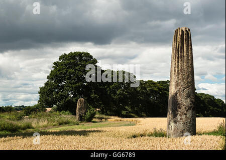 Boroughbridge, North Yorkshire, Regno Unito. Il Devil's frecce, un allineamento di 3 o del neolitico Età del Bronzo pietre permanente (2700 BC) Foto Stock
