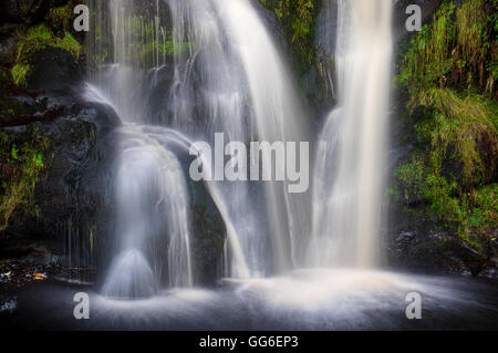 Posforth Gill cascata, Bolton Abbey, Yorkshire Dales, nello Yorkshire, Inghilterra, Regno Unito, Europa Foto Stock