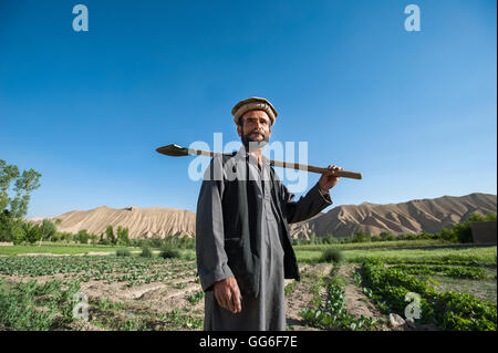 Un agricoltore nella Valle di Bamiyan, Afghanistan, Asia Foto Stock