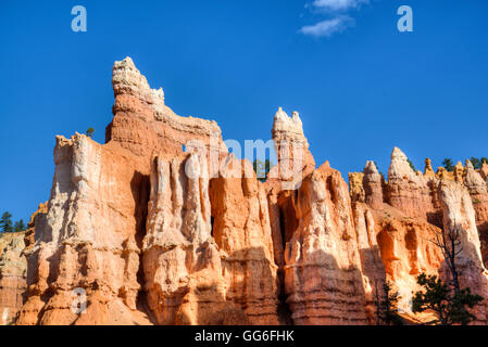 Hoodoos, sul Queens Garden Trail, Parco Nazionale di Bryce Canyon, Utah, Stati Uniti d'America, America del Nord Foto Stock