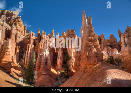 Hoodoos, sul Queens Garden Trail, Parco Nazionale di Bryce Canyon, Utah, Stati Uniti d'America, America del Nord Foto Stock