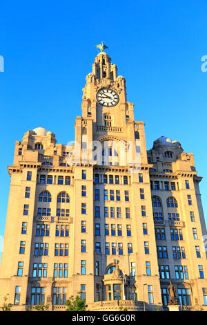 Royal Liver Building, Pier Head, Liverpool, Merseyside, Inghilterra, Regno Unito. Foto Stock