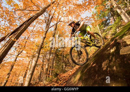 Autunno in mountain bike nelle White Mountains del New Hampshire. Foto Stock