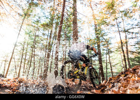 Autunno in mountain bike nelle White Mountains del New Hampshire. Foto Stock