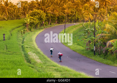 Due longboard skateboarders in azione. Foto Stock