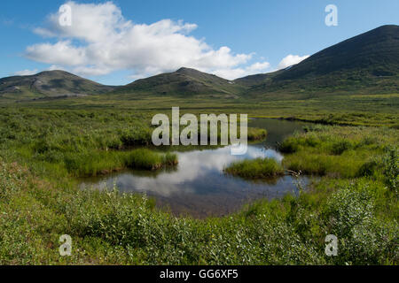 Alaska, Seward Peninsula, Nome. Autostrada Nome-Taylor aka Kougarok strada o Taylor Road. Viste della campagna da Taylor Road, remote Foto Stock