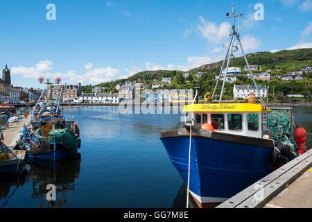 Vista del porto a Tarbert sulla penisola di Kintyre in Argyll and Bute in Scozia, Regno Unito Foto Stock