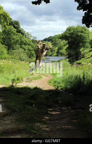 Dales modo lungo il fiume wharfe tra linton falls e burnsall, North Yorkshire, Inghilterra Foto Stock