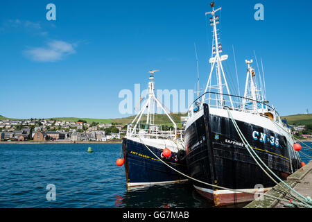 Vista del porto con le attività di pesca i pescherecci con reti da traino a Campbeltown sulla penisola di Kintyre in Argyll and Bute in Scozia Regno Unito Foto Stock