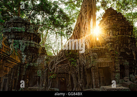 Angkor Tom Foto Stock