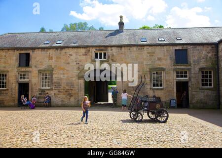 Gibside maneggio, Rowlands Gill, Gateshead, Tyne & Wear, England, Regno Unito, Gran Bretagna, Europa. Foto Stock