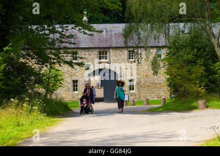 Gibside maneggio, Rowlands Gill, Gateshead, Tyne & Wear, England, Regno Unito, Gran Bretagna, Europa. Foto Stock