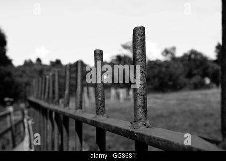 Immagine in bianco e nero di ringhiere metalliche in ambiente rurale Foto Stock