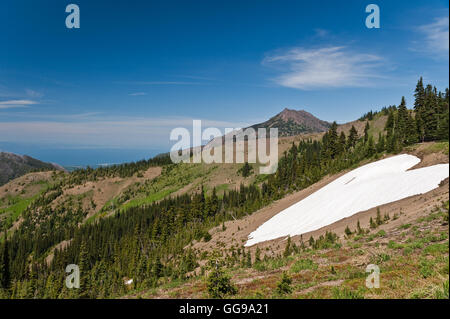 Hurricane Ridge Mountains con neve nel Parco Nazionale di Olympic, nello Stato di Washington, USA Foto Stock