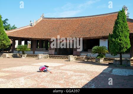 Duong Lam, Vietnam - 17 novembre 2015. Donna fette di essiccazione di ravanello nel cortile di Mong Phu tempio Foto Stock