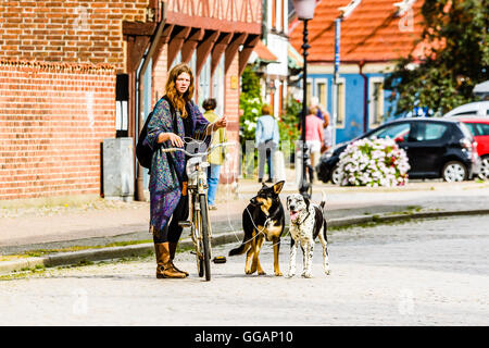 Ystad, Svezia - 1 Agosto 2016: persone reali nella vita di tutti i giorni. Bella giovane donna fuori in bicicletta con due cani utilizzando la corda come guinzaglio. D Foto Stock