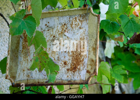 Il vecchio segno tra il verde delle foglie di albero Foto Stock