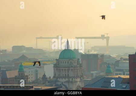 Vista mozzafiato su Belfast con le gru Harland e Wolff, Samson e Goliath sullo sfondo all'alba, Belfast Foto Stock