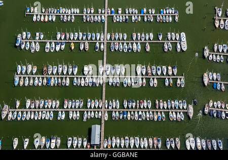 Vista aerea, Hoorn con marina, marina, dock presso il lago Markermeer, North Holland, Paesi Bassi, Europa, vista aerea, uccelli-occhi Foto Stock