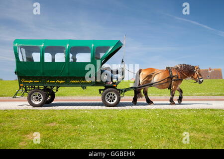 Geografia / viaggi, Germania, Bassa Sassonia, Frisia orientale, Baltrum Isle, a cavallo il veicolo adibito al trasporto di turisti, Additional-Rights-Clearance-Info-Not-Available Foto Stock