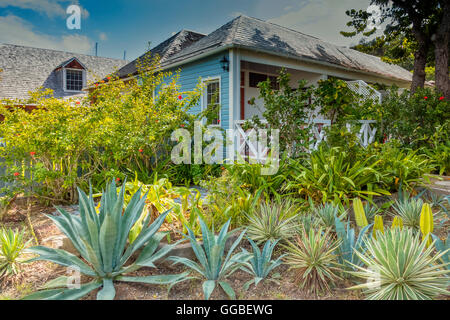 Giardino e edifici di Nelson's Dockyard, English Harbour Antigua Foto Stock