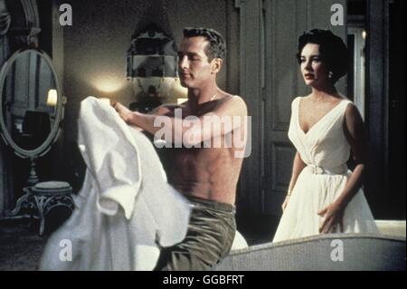 DIE KATZE AUF DEM HEISSEN BLECHDACH / Cat On A Hot Tin Roof USA 1958 / Richard Brooks Brick (Paul Newman), Maggie (Elizabeth Taylor) Regie: Richard Brooks aka. Cat On A Hot Tin Roof Foto Stock