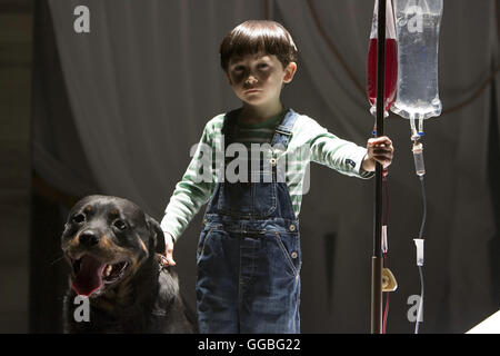 DAS OMEN / Il presagio USA 2006 / John Moore Damien (SEAMUS DAVEY-FITZPATRICK) Regie: John Moore aka. Il presagio Foto Stock