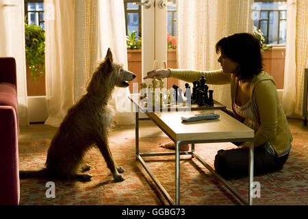 DAS HAUS AM SEE / Lake House USA 2006 / Alejandro Agresti Kate Forster (Sandra Bullock) e il gioco degli scacchi con il cane. Regie: Alejandro Agresti aka. Il Lake House Foto Stock