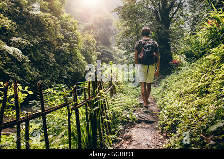 Vista posteriore del giovane uomo escursioni in montagna. Turistico con uno zaino a piedi lungo il sentiero nella foresta. Foto Stock