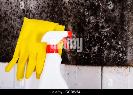 Preparazione per la rimozione dello stampo e guanti gialli contro la muffa sulla parete. Foto Stock