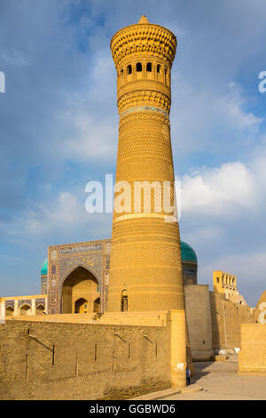 Geografia / viaggi, Uzbekistan, Bukhara, Kalyan Moschea Minareto Kalyan, costruito 1127, vista esterna, Additional-Rights-Clearance-Info-Not-Available Foto Stock