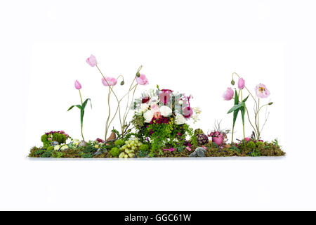 Grande tavola floreale visualizzazione dei fiori australiani, il muschio, le felci, frutta a guscio e frutta Foto Stock