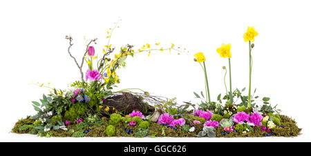 Grande tavola floreale visualizzazione dei fiori australiani, il muschio, le felci, frutta a guscio e frutta Foto Stock