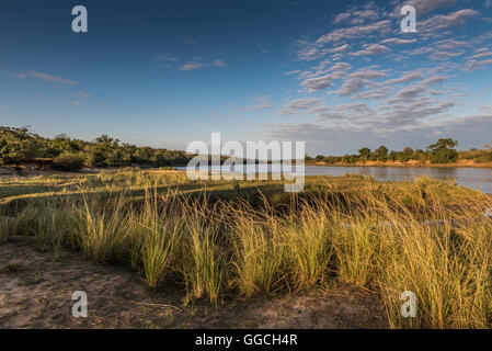 Luce della Sera lungo il grande fiume Ruaha in Tanzania Foto Stock