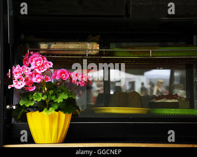 Prague Charles Square giorno cibo italiano Foto Stock