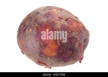 Giovani materie viola patate isolati su sfondo bianco Foto Stock