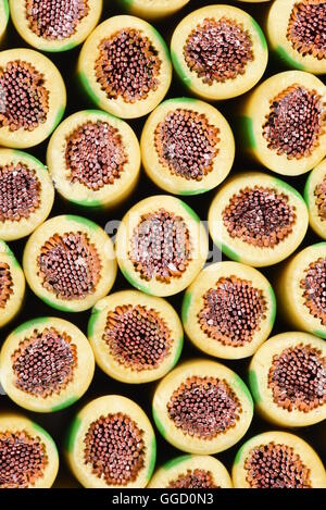 Gruppo di giallo e verde di messa a terra del cavo di rame utilizzati nell'installazione elettrica closeup Foto Stock