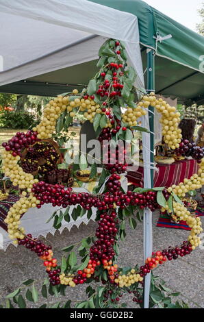 Festa della ciliegia di frutta in Kyustendil, presentment fuori la loro produzione di frutta cruda, Bulgaria Foto Stock