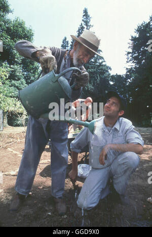 GREENFINGERS - HARTE JUNGS UND ZARTE TRIEBE / Greenfingers GB 2001 / Joel Hershman Colin Briggs (Clive Owen) sitzt im wegen Edgefield-Gefängnis Todschlags. Zu Weihnachten schenkt ihm der kranke unheilbar Fergus (David Kelly) eine kleine Tüte Veilchensamen. Als sich im Frühjahr die erste Blüten zeigen, beschließt der Gefängnisdirektor, dass Colin, Fergus und drei weitere Inhaftierte den tristen Knast in eine blühende Landschaft verwandeln sollen. Edgefield wird berühmt für seine Insassen mit dem grünen Daumen. Als die berühmte Botanik-Expertin Georgina Woodhouse sich das grüne Wunder hinter Foto Stock