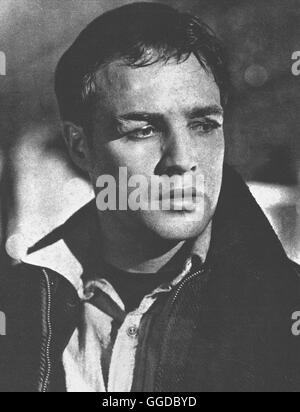 DIE FAUST IM NACKEN / Sul lungomare USA 1954 / Elia Kazan Ein junger Hafenarbeiter (Marlon Brando) wird in die Bandenkämpfe des New Yorker Hafenviertels verwickelt. Mit Hilfe eines Paters und circuizione Freundin kann er sich aus dem gewalttätigen Milieu befreien. Regie: Elia Kazan aka. Sul lungomare Foto Stock