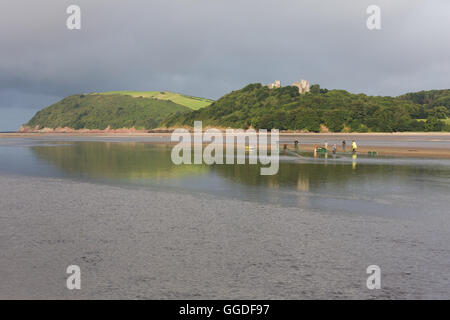 Un gruppo di pesci Pesci in Tywi (Towy) estuario tra Ferryside e Llansteffan Foto Stock