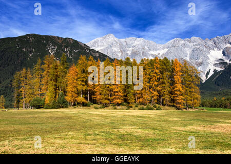 Mieminger Plateau, montagne in autunno, Tirolo, Austria. Foto Stock