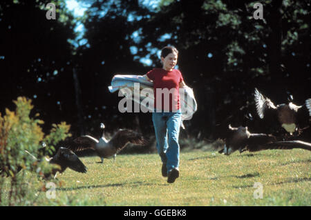 AMY UND DIE WILDGÄNSE / Fly Away Home USA 1996 / Carroll Ballard Bild: Amy (ANNA PAQUIN) und ihre Wildgänse. Regie: Carroll Ballard aka. Fly Away Home Foto Stock