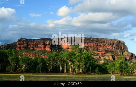 Nel tardo pomeriggio luce su Nourlangie Rock, come si vede dal Anbangbang Billabong. Foto Stock