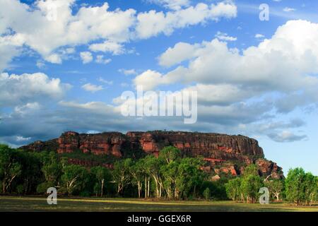 Nel tardo pomeriggio luce su Nourlangie Rock, come si vede dal Anbangbang Billabong. Foto Stock